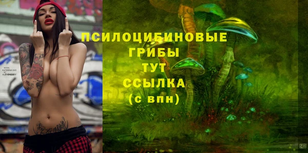 PSILOCYBIN Абаза