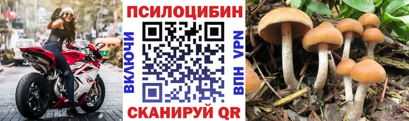 Галлюциногенные грибы Magic Shrooms  Нальчик 