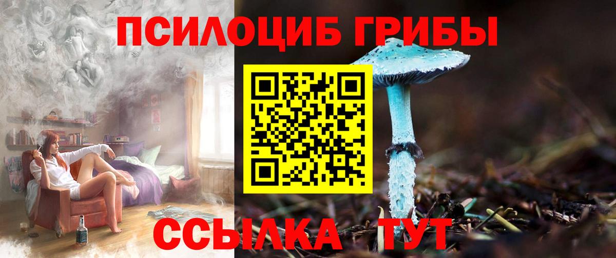 Нальчик  Галлюциногенные грибы мицелий  Вход с VPN 