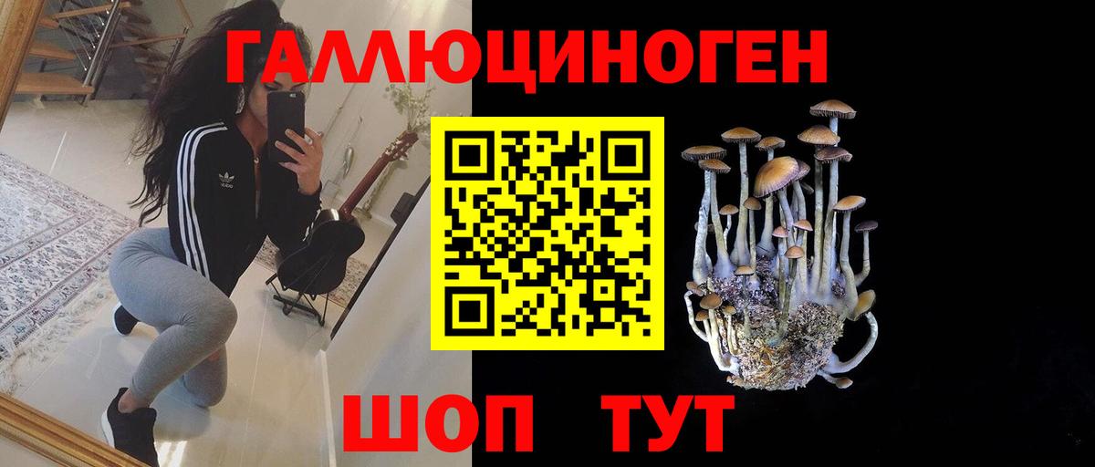Псилоцибиновые грибы прущие грибы Нальчик